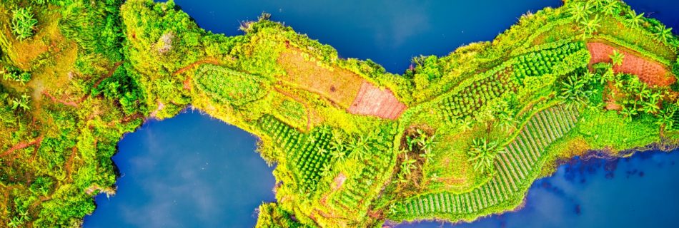 aerial photo of green vegetation covered island